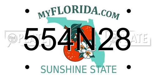 554N28 Florida License Plate