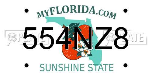 554NZ8 Florida License Plate