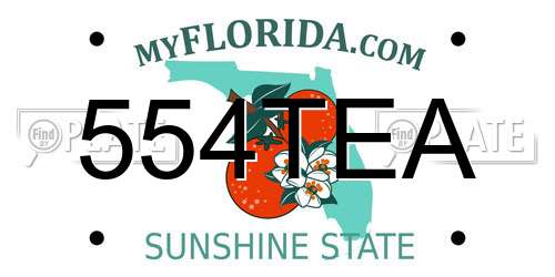 554TEA Florida License Plate