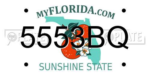 5553BQ Florida License Plate