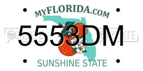 5553DM Florida License Plate
