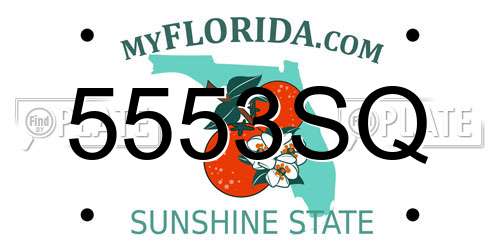 5553SQ Florida License Plate