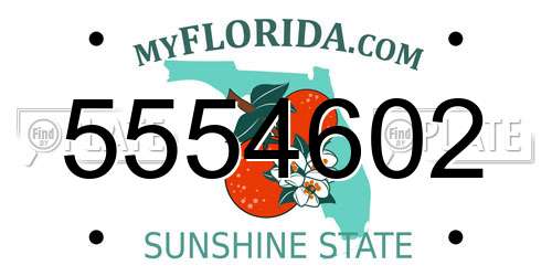 5554602 Florida License Plate