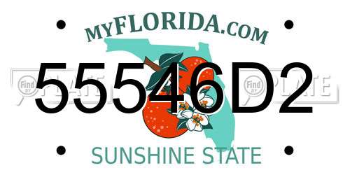 55546D2 Florida License Plate