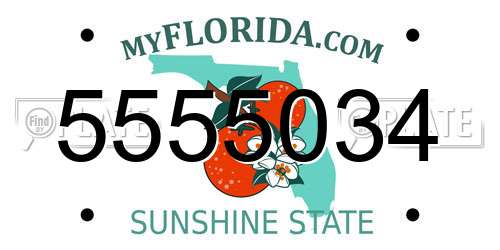 5555034 Florida License Plate