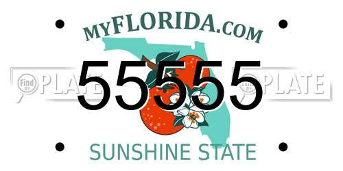 55555 Florida License Plate