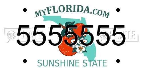 5555555 Florida License Plate