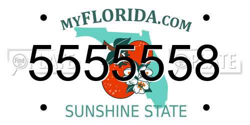 5555558 Florida License Plate