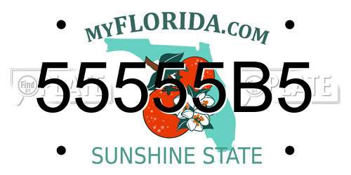 55555B5 Florida License Plate