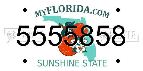 5555858 Florida License Plate