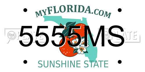 5555MS Florida License Plate