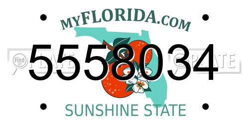 5558034 Florida License Plate