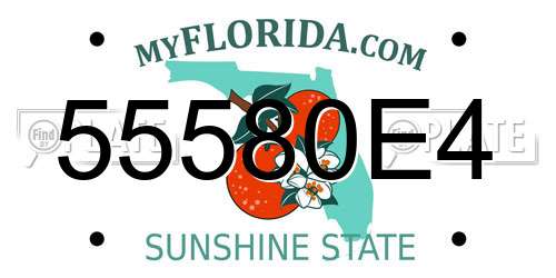 55580E4 Florida License Plate