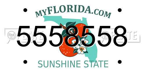 5558558 Florida License Plate