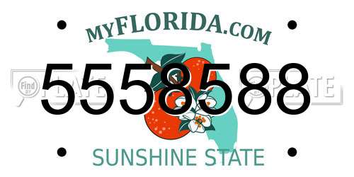 5558588 Florida License Plate