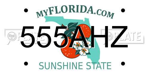 555AHZ Florida License Plate