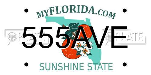 555AVE Florida License Plate