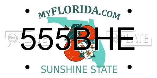 555BHE Florida License Plate