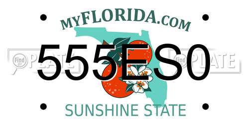555ES0 Florida License Plate