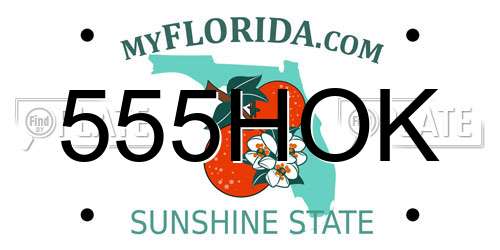 555HOK Florida License Plate