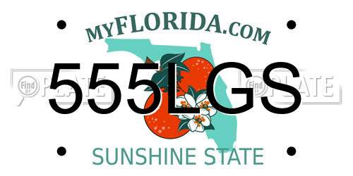 555LGS Florida License Plate