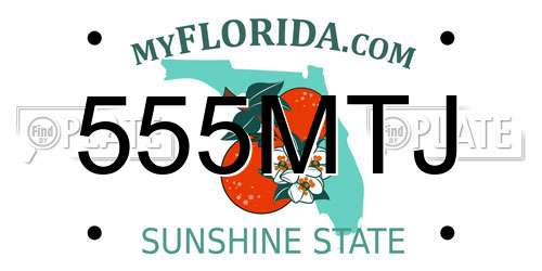 555MTJ Florida License Plate