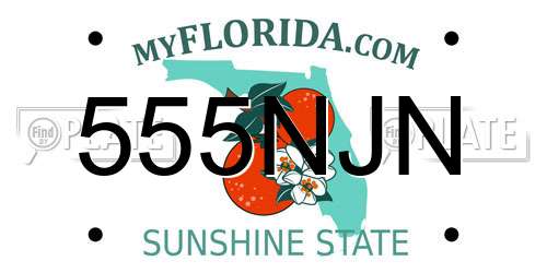 555NJN Florida License Plate