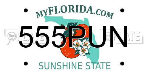 555PUN Florida License Plate