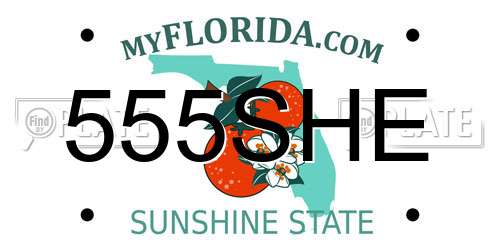 555SHE Florida License Plate
