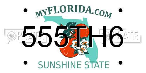 555TH6 Florida License Plate