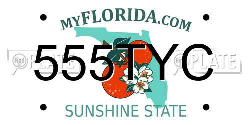 555TYC Florida License Plate
