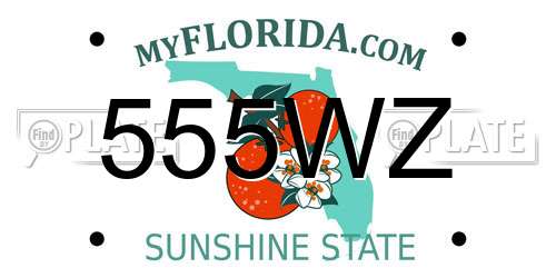 555WZ Florida License Plate