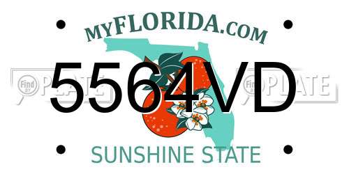 5564VD Florida License Plate