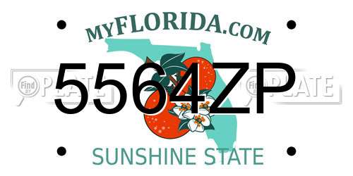 5564ZP Florida License Plate