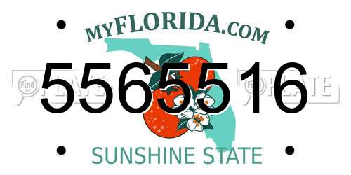 5565516 Florida License Plate