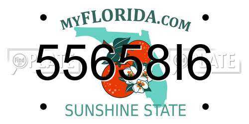 55658I6 Florida License Plate