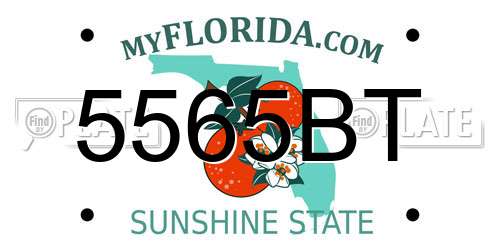 5565BT Florida License Plate