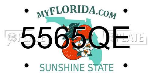 5565QE Florida License Plate