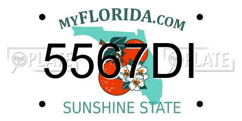 5567DI Florida License Plate