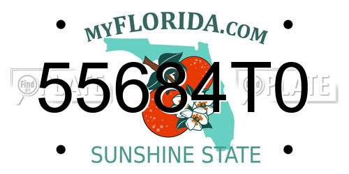 55684T0 Florida License Plate