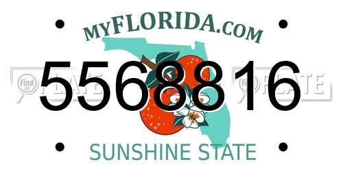 5568816 Florida License Plate