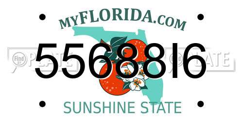55688I6 Florida License Plate
