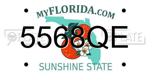 5568QE Florida License Plate