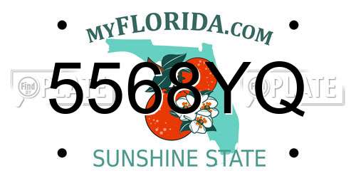 5568YQ Florida License Plate