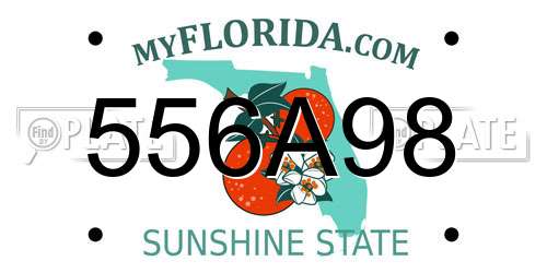 556A98 Florida License Plate