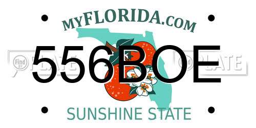 556BOE Florida License Plate