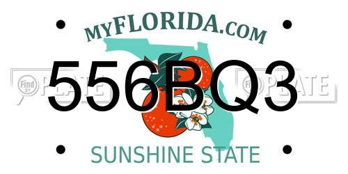 556BQ3 Florida License Plate