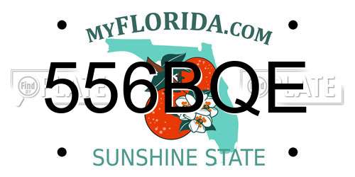 556BQE Florida License Plate