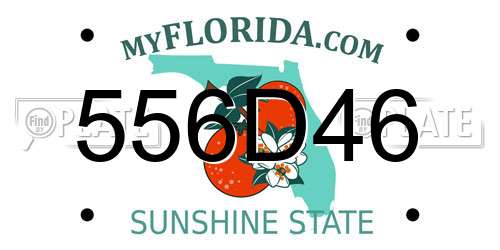 556D46 Florida License Plate