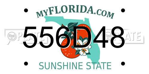 556D48 Florida License Plate